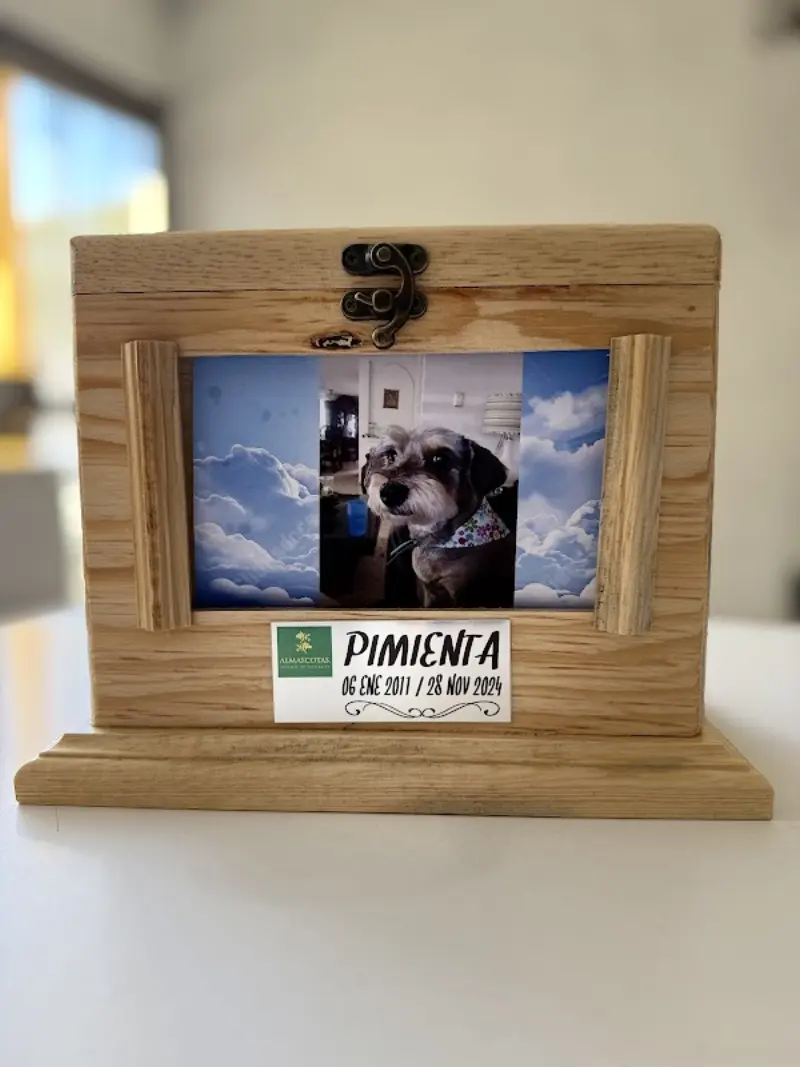 Almascotas, Servicio de cremación para mascotas