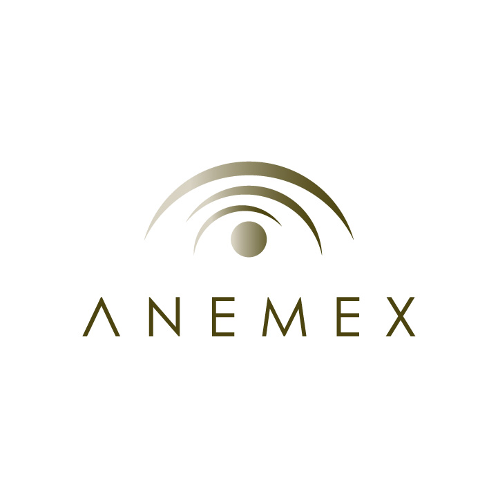 Anemex