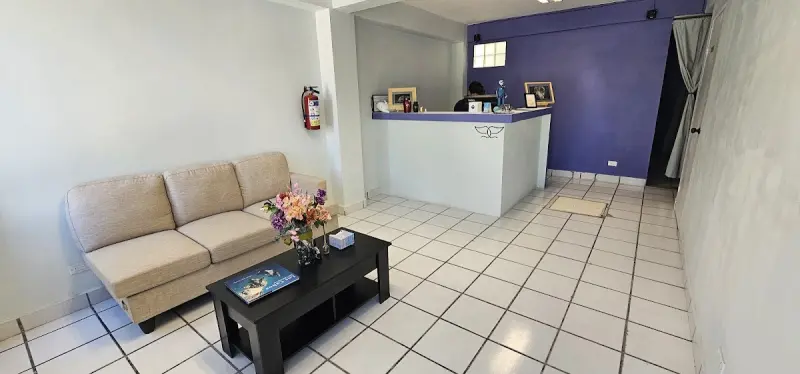 BELUGA Funeraria y Memorial para Mascotas