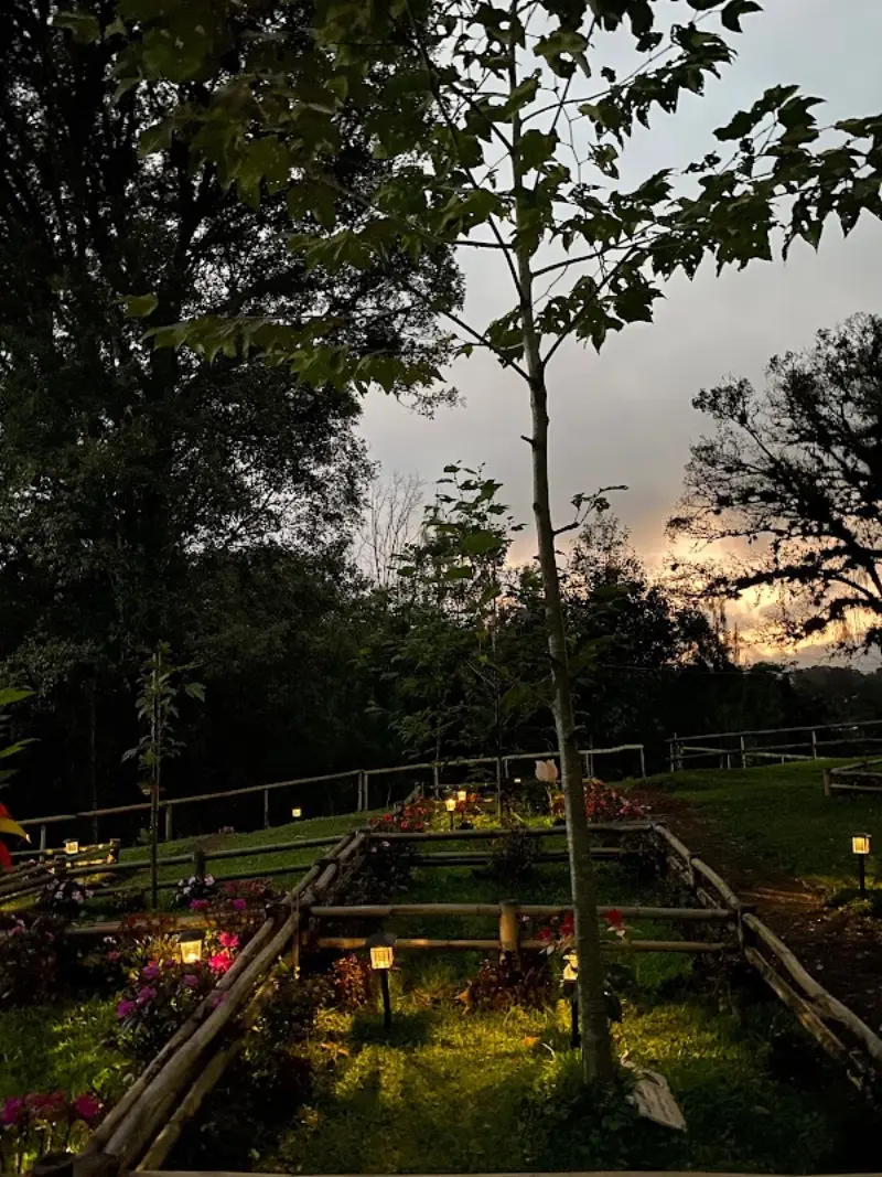 Bosque de Vida: Memorial Ecológico