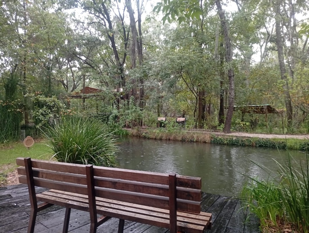 Bosque Eterno, Bosque Funerário