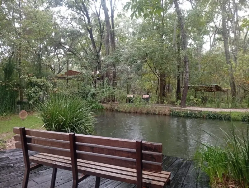 Bosque Eterno, Bosque Funerario