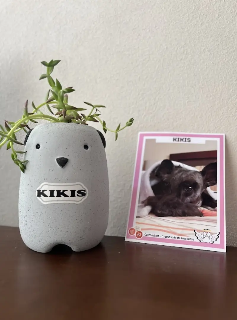 Cremaskott - Crematorio de Mascotas