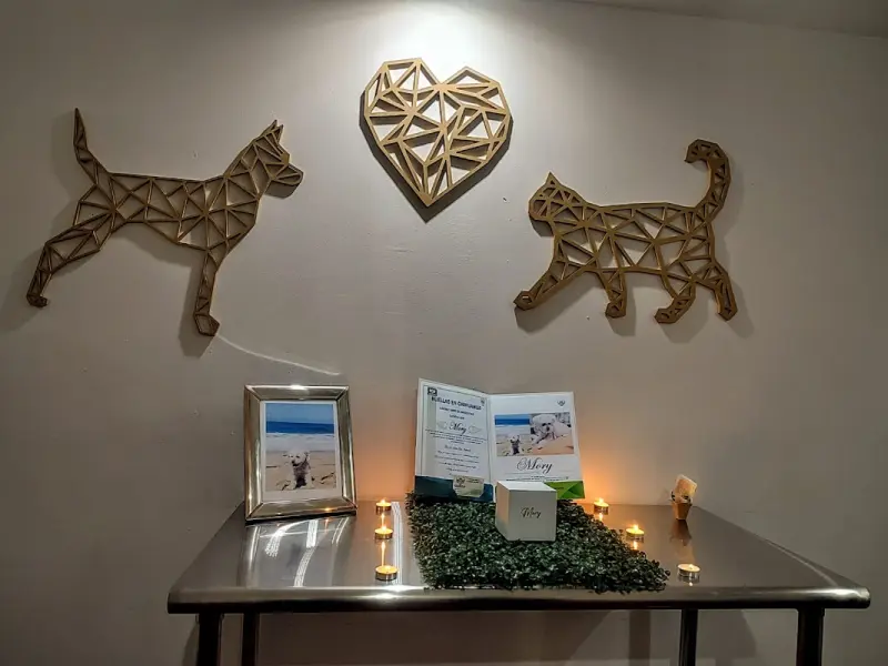 Crematorio de mascotas Huellas en Chihuahua