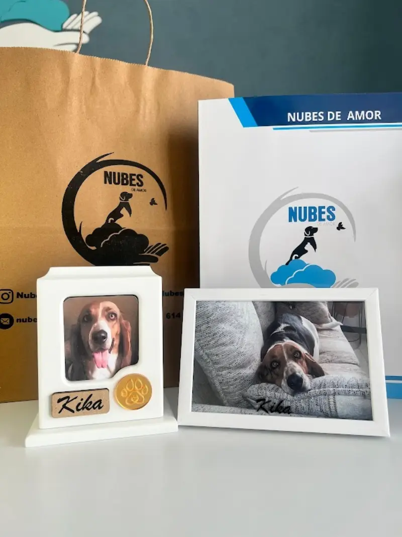 Crematorio de Mascotas Nubes de Amor