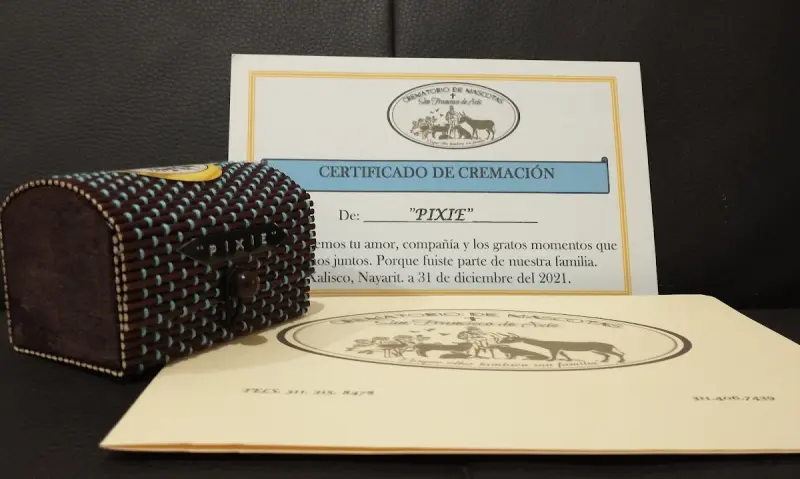 Crematorio de mascotas San Francisco de Asis