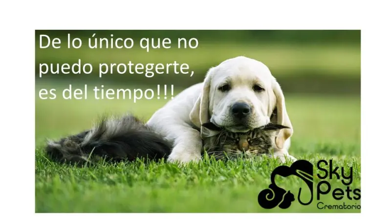 Crematorio de Mascotas Sky Pets