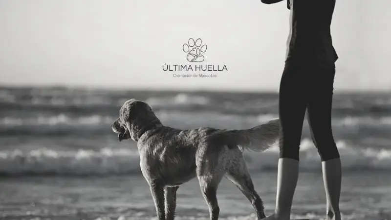 Crematorio de mascotas Última Huella (oficina)