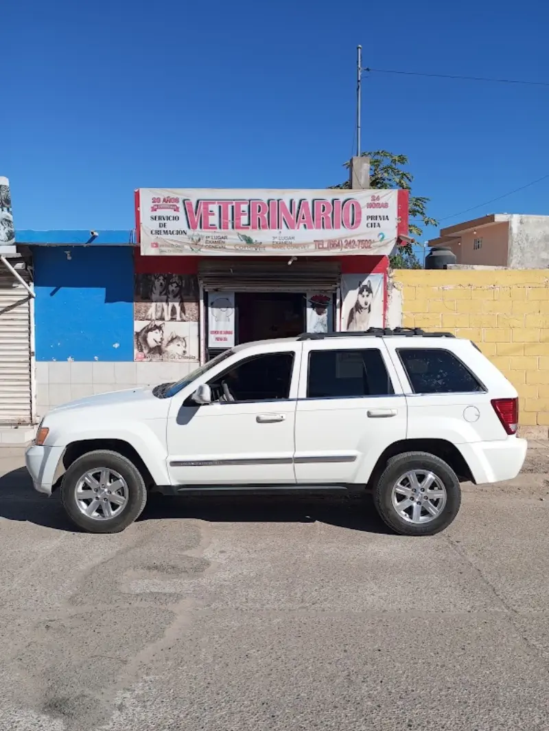 Crematorio de Mascotas y Veterinario 24 Horas