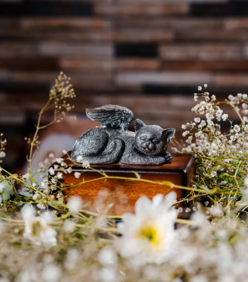 Crematorio DHU Dejando Huellas