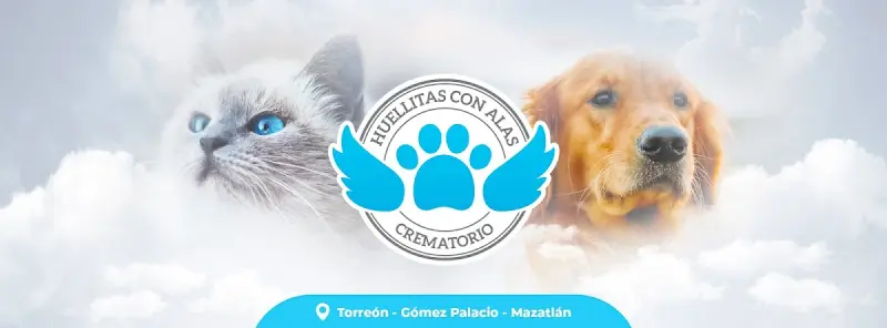 Crematorio Huellitas Con Alas