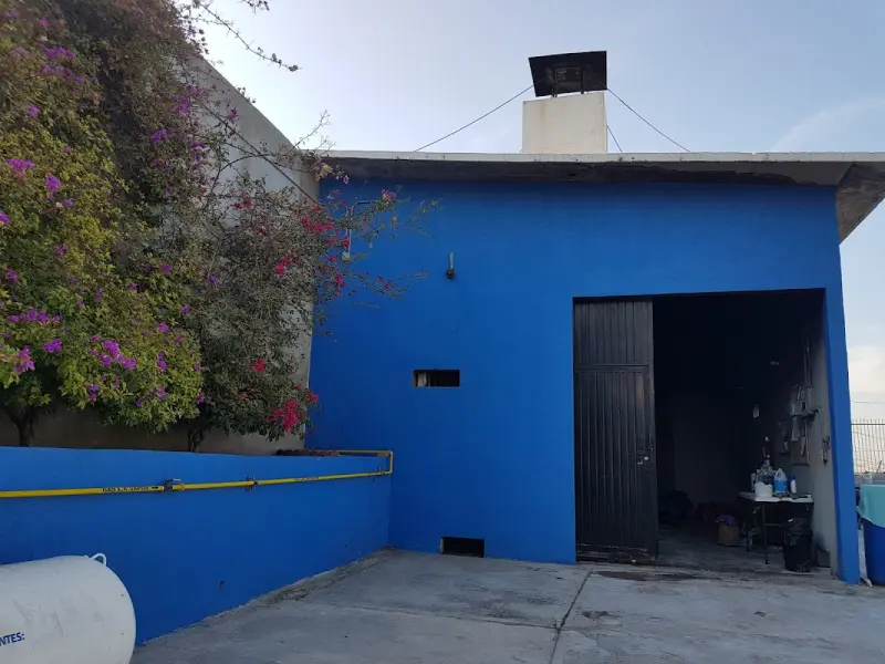 Crematorio para Mascotas Paraíso