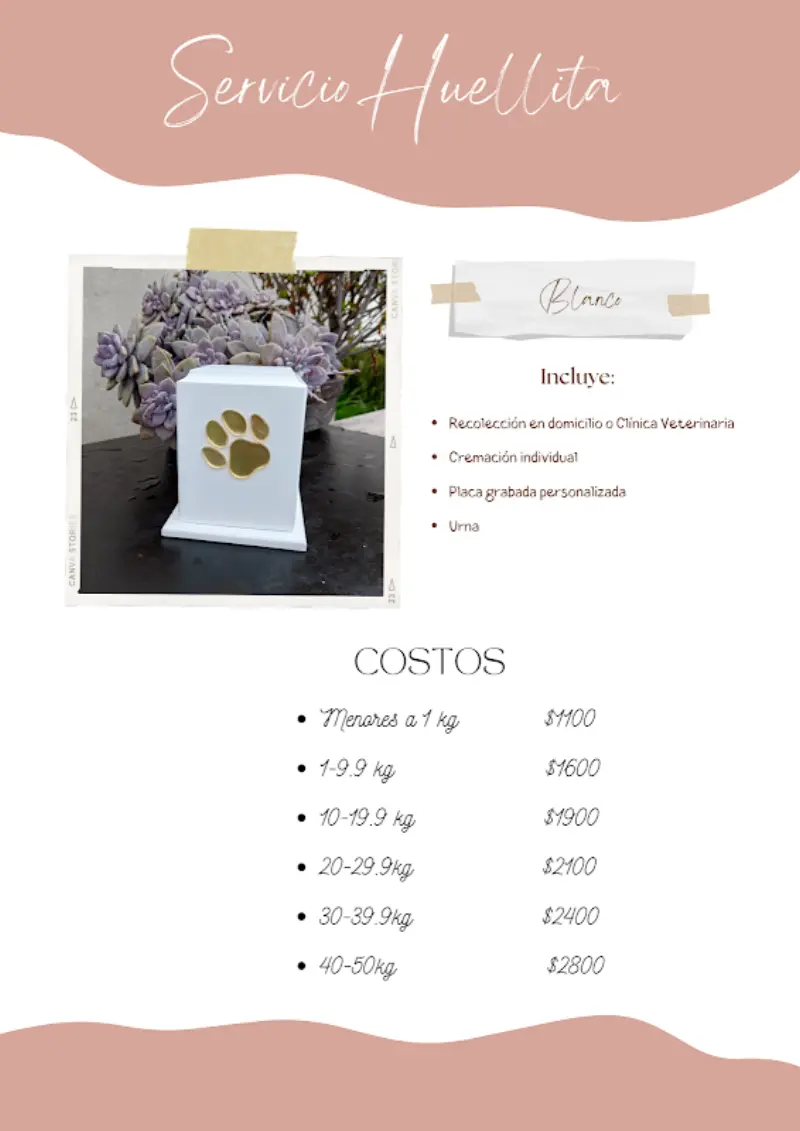 Crematorio para mascotas Pets memorial