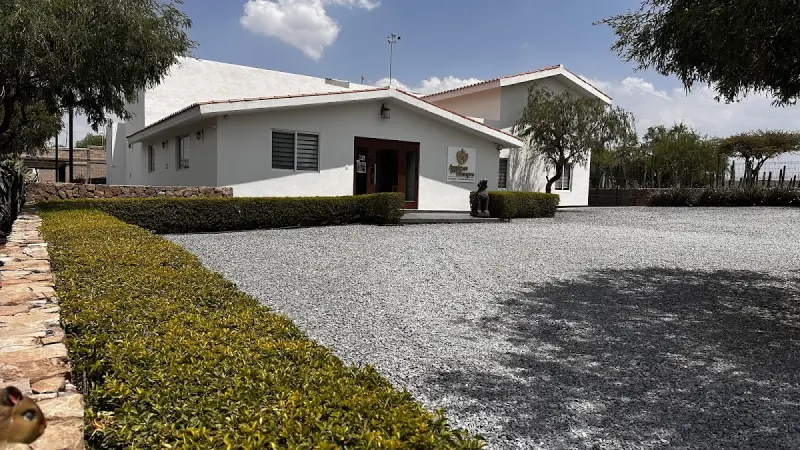 Crematorio y Mausoleo Para Mascotas Amigos Por Siempre