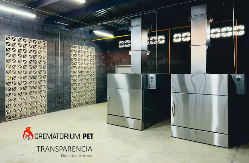 Crematorium Pet Cremacion Mascotas Animales