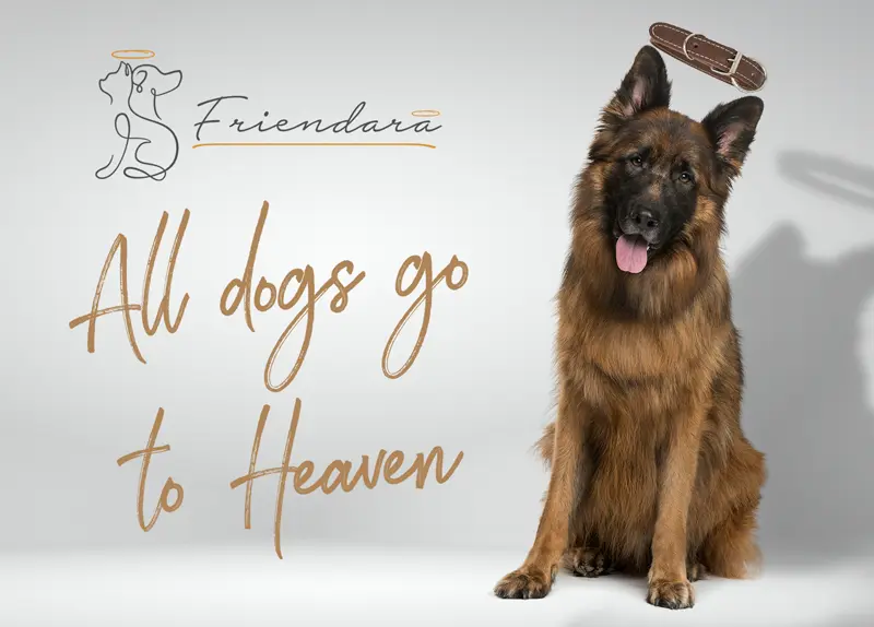 Friendara Funeraria y Servicio de Cremación para Mascotas Tijuana