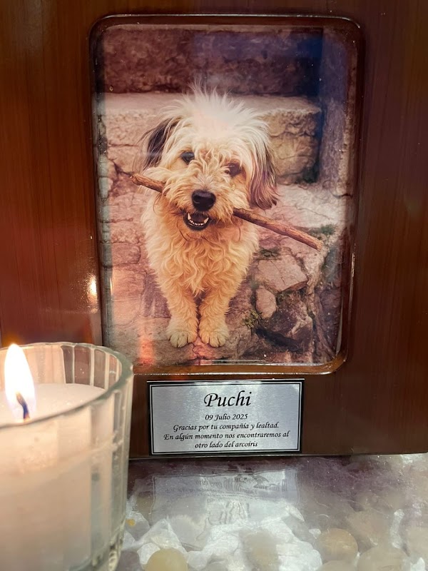 Funeraria de Mascotas Jardín de Huellitas