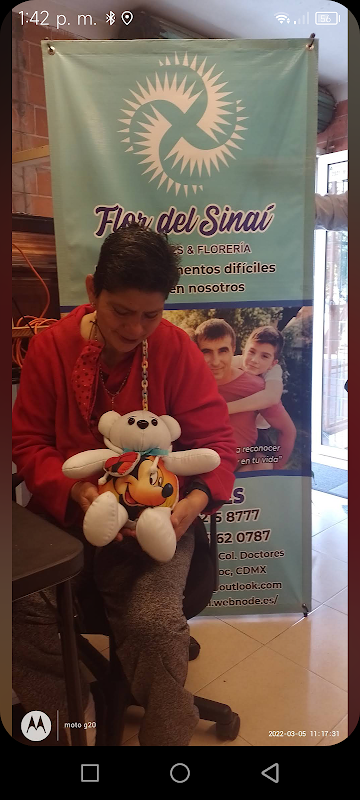 Funeraria Flor del Sinaí