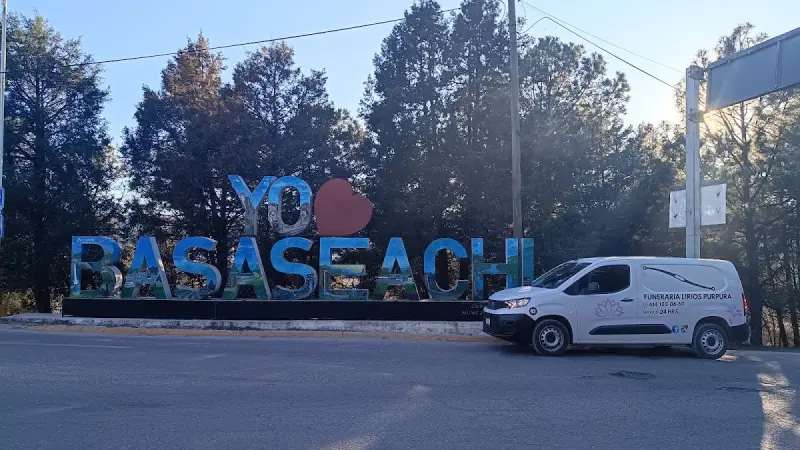 Funeraria lirios purpura