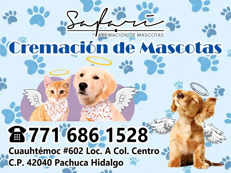 Funeraria Safari Pachuca