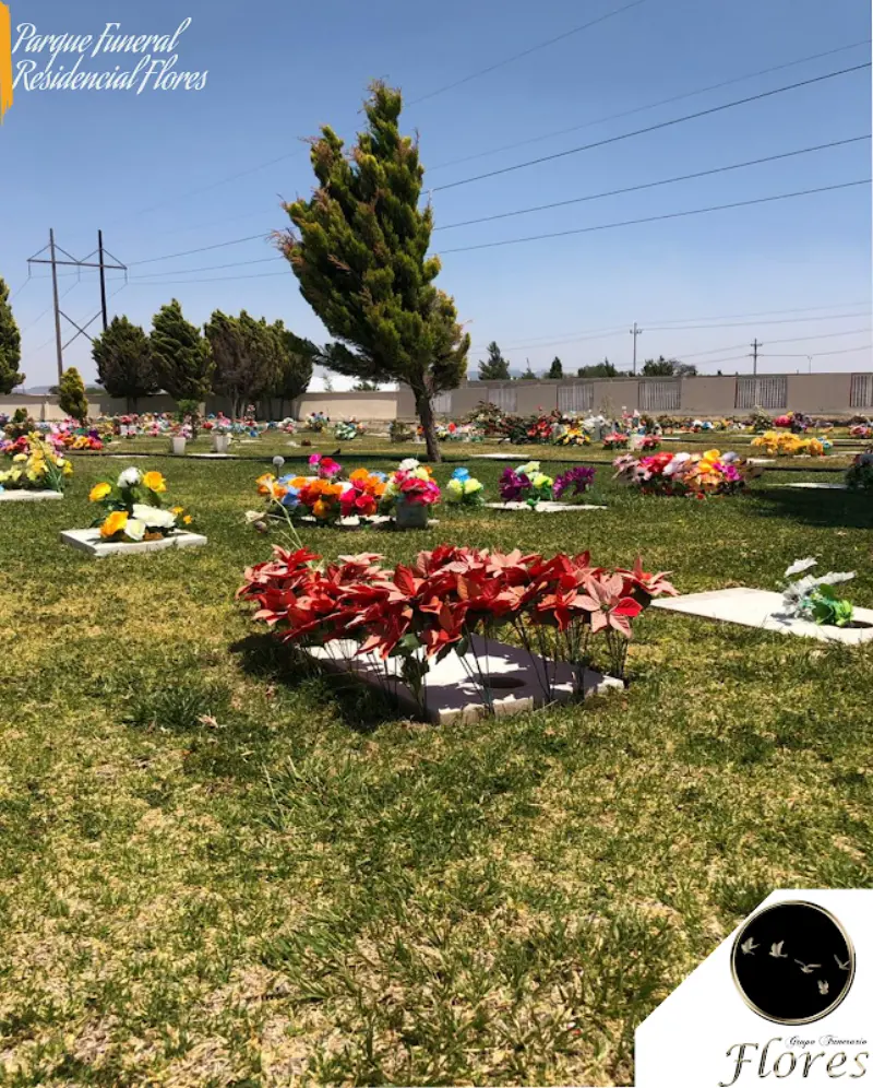 Grupo Funerario ANTHOI (antes Grupo Funerario Flores)