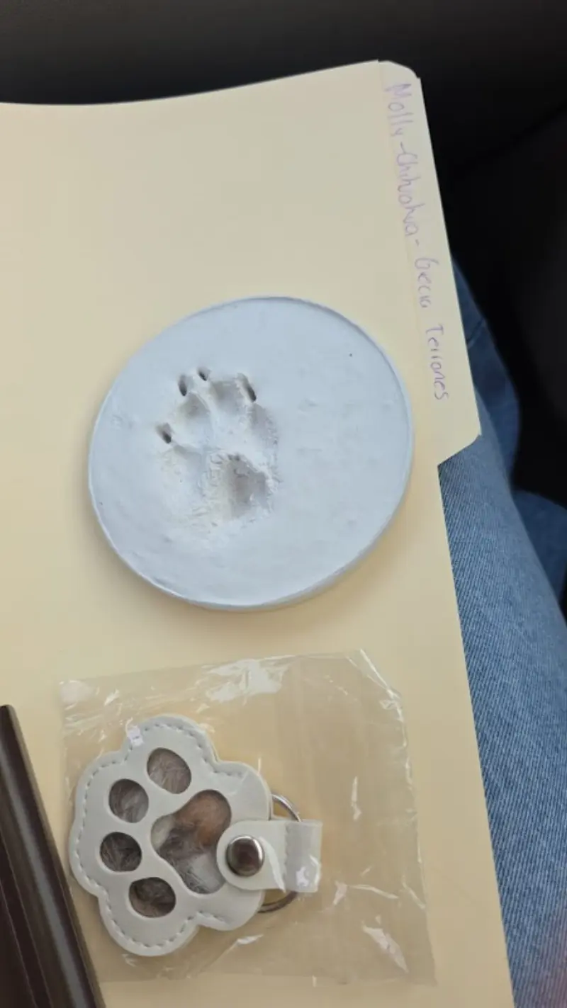 Huellas Eternas Crematorio de Mascotas