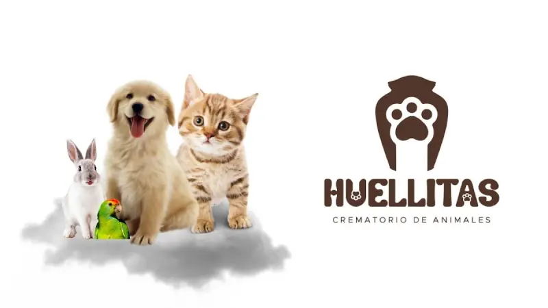 Huellitas - Crematorio de mascotas