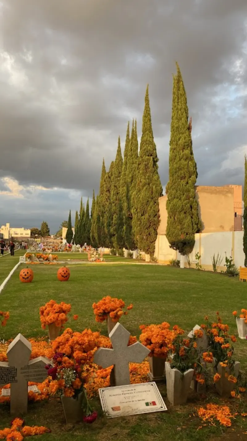 Jardínes de Guadalupe