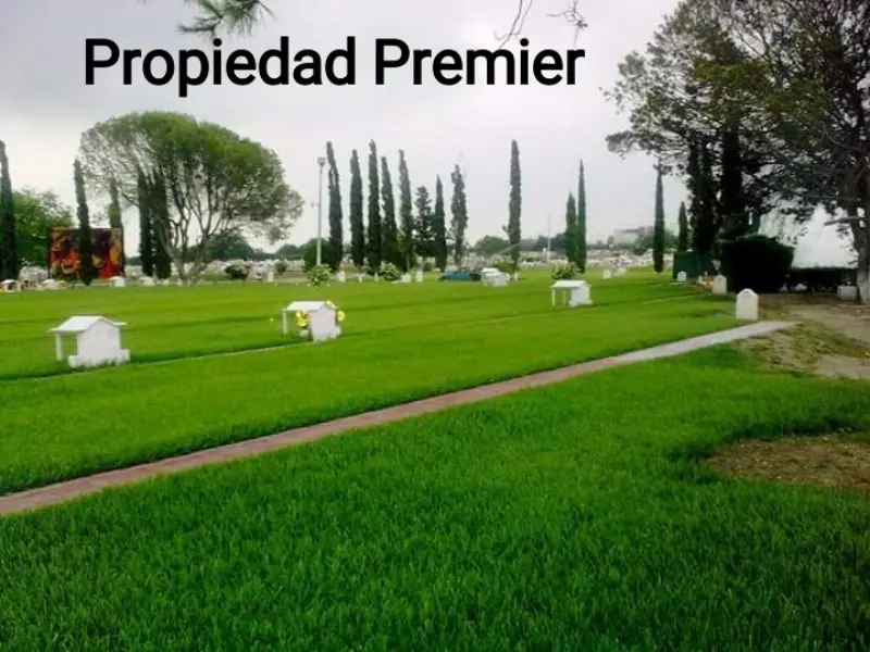 José Javier Reyna Valdez Asesor Protcto Deco