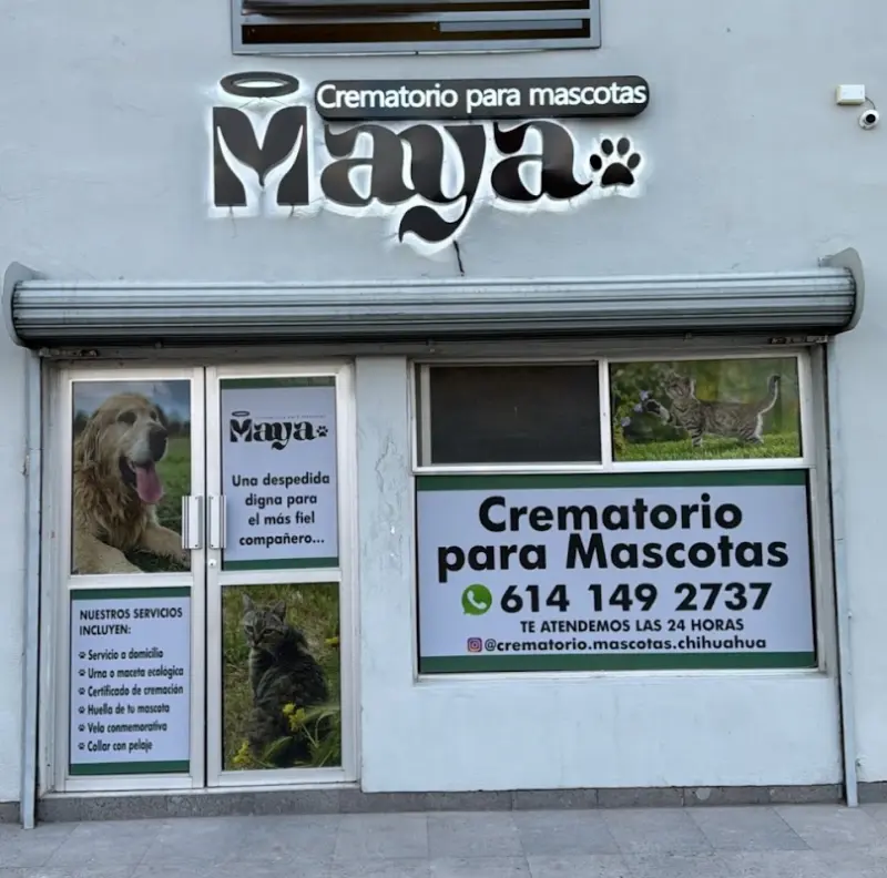 MAYA Crematorio para Mascotas Chihuahua