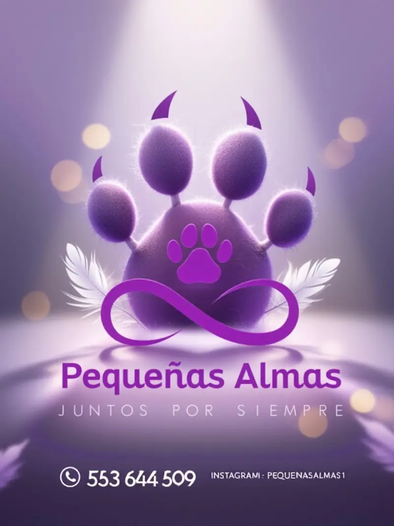 Pequeñas Almas Crematorio de Mascotas