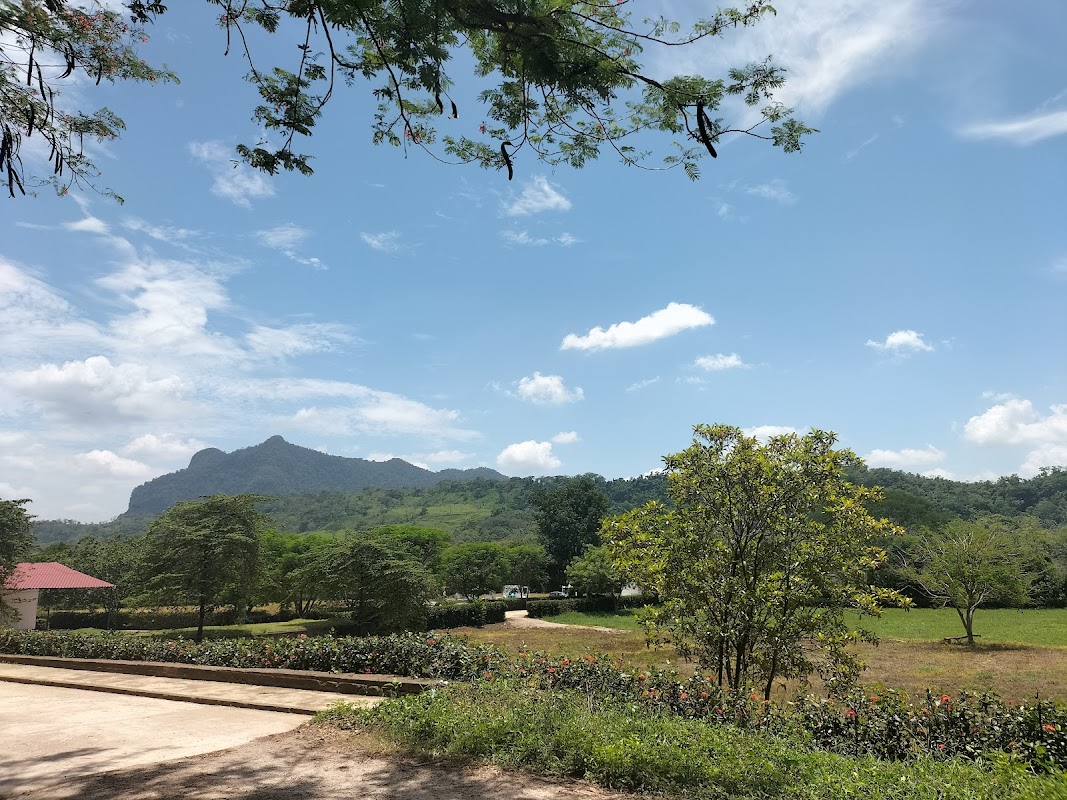 Recinto Memorial Jardines de San Fernando
