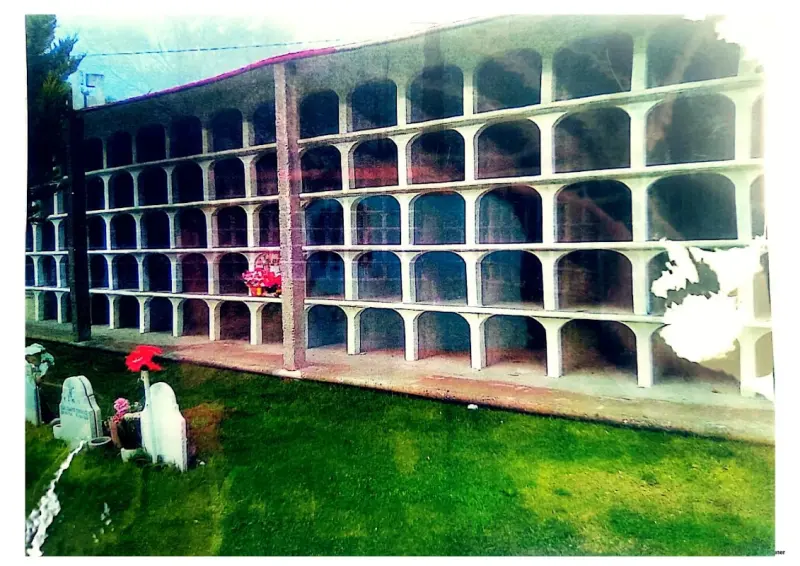 Servicios funerarios ecológicos y Tradicionales