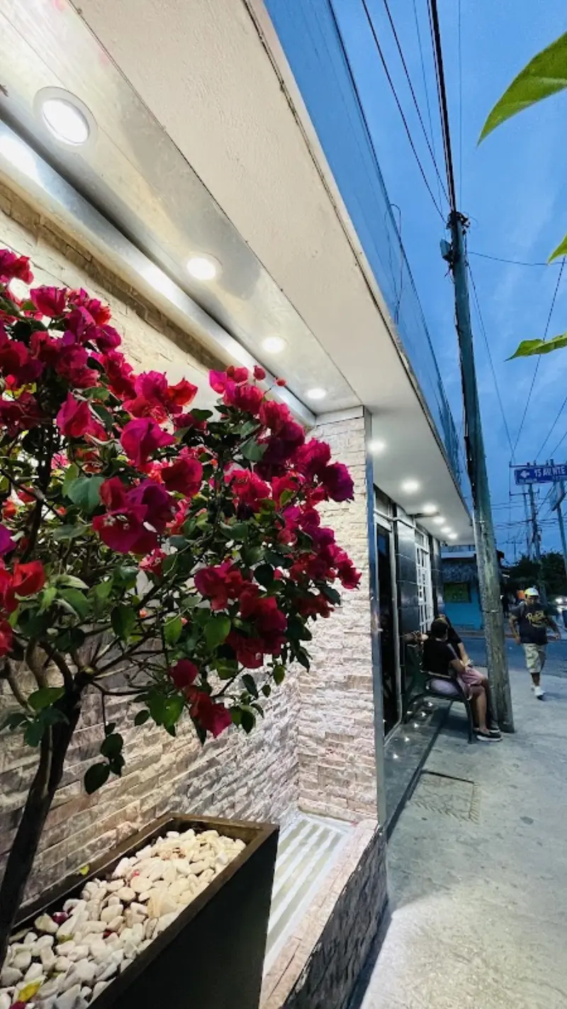 Servicios Funerarios Mar Pech/ Horno crematorio en Playa del Carmen