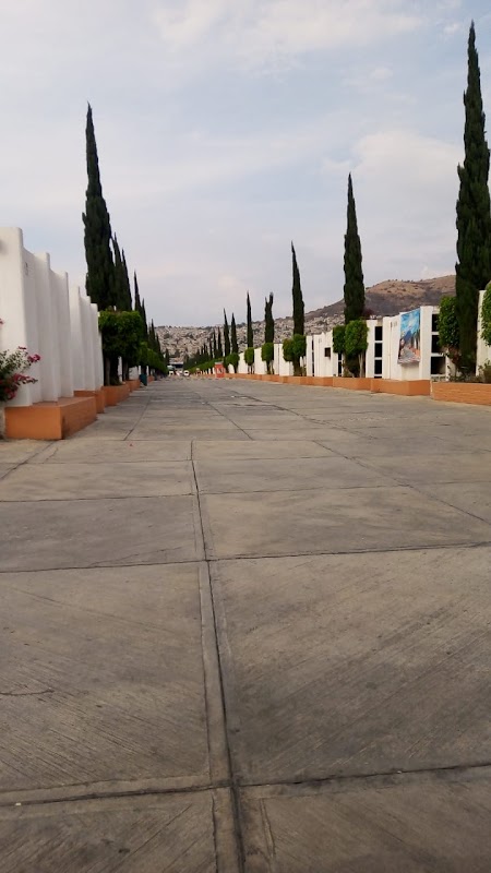 Servicios Funerarios Mtp