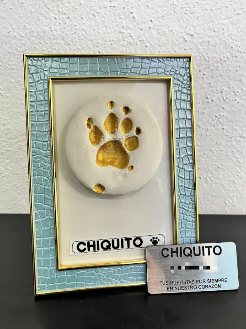 Servicios TKM Crematorio de Mascotas