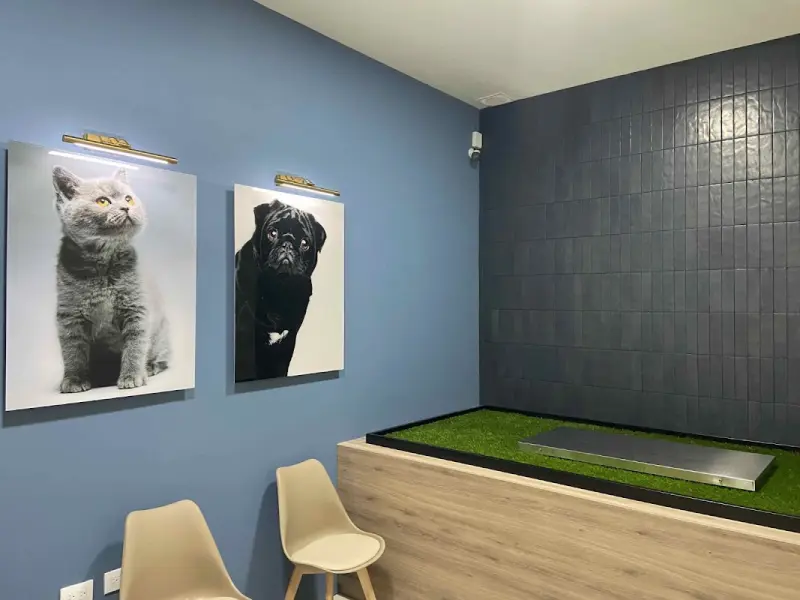 Sobre Nubes Crematorio