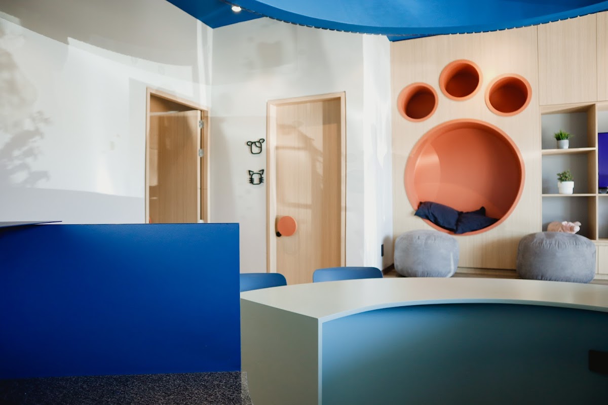 SPIRITPAT Casita Funeraria Para Mascotas