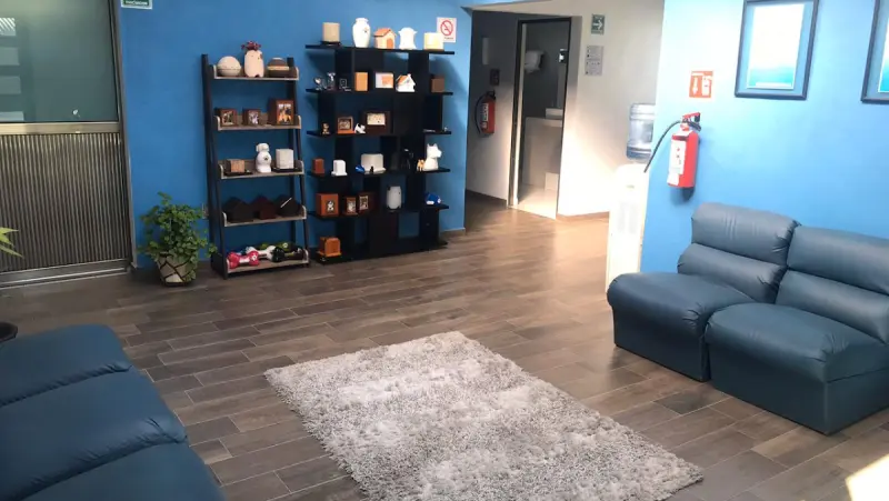 TKM Pachuca Crematorio de Mascotas