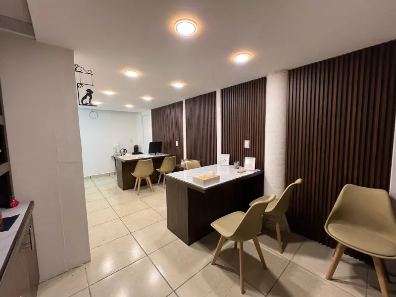 Velatorio y Crematorio para mascotas Amigos para Siempre